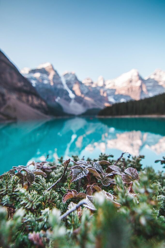 lake, mountains, forest, camping, plant, leaves, nature, banff, alberta, canada, water, travel, park, sky, scenery, summer, outdoor, landscape, camping, camping, camping, camping, camping, nature, banff, canada, canada, canada, travel, scenery, landscape